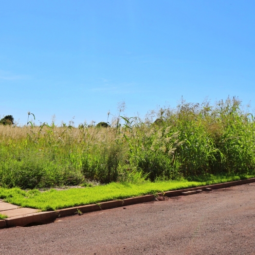 Multa será aplicada a proprietários de terrenos baldios em Itaipulândia