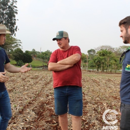 Niero é referência em assessoria e planejamentos agropecuários na microrregião oeste