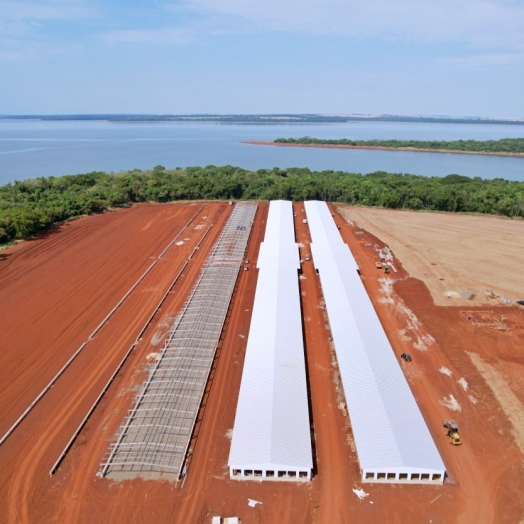 Obras estruturais dos blocos para produção de ovos férteis avançam em Itaipulândia