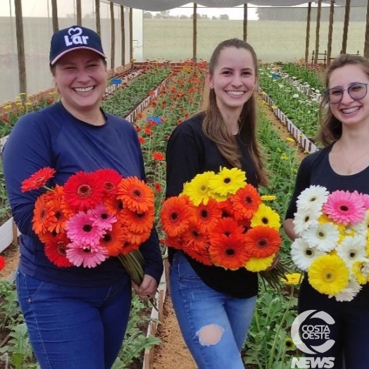 Onde prospera milho e soja três irmãs decidiram inovar cultivando flores