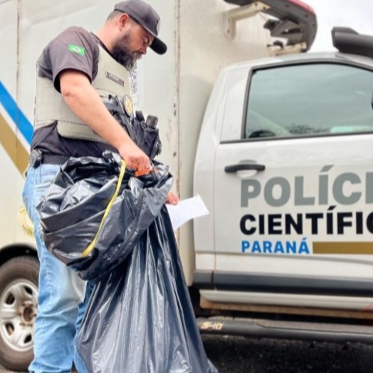 Ossada humana é encontrada às margens da BR-277 em São Miguel do Iguaçu