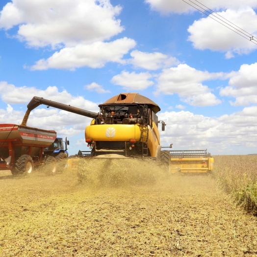 Paraná inicia colheita da soja; quase 6 mi de hectares foram plantados no estado