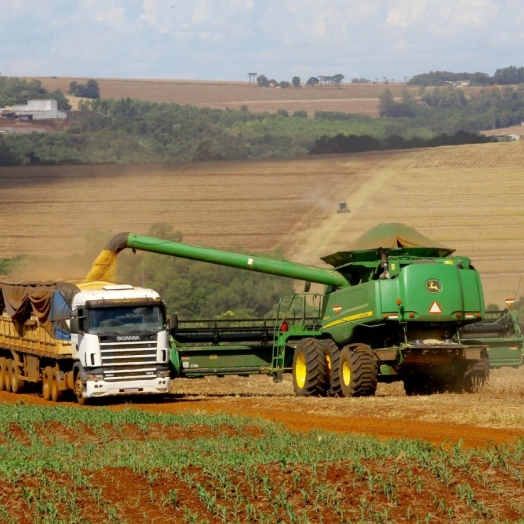 Paraná prevê colher 22,54 milhões de toneladas na safra de verão 21/22