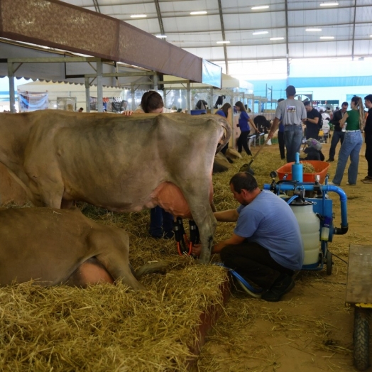 Paraná tem nove cidades na liderança da produção agropecuária nacional