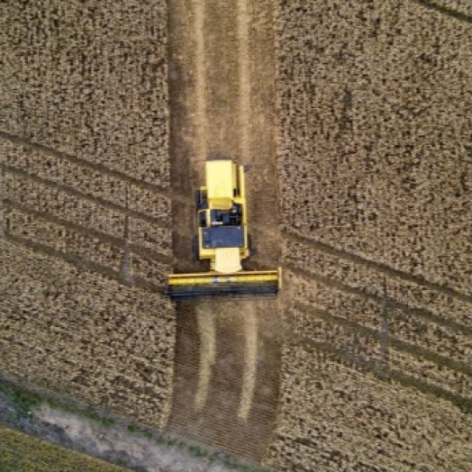 Paraná terá maior crescimento da produção agrícola entre estados do Sul e Sudeste em 2025