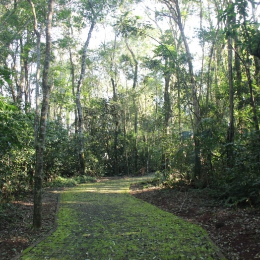 Parque Nacional do Iguaçu lança aplicativo de trilhas