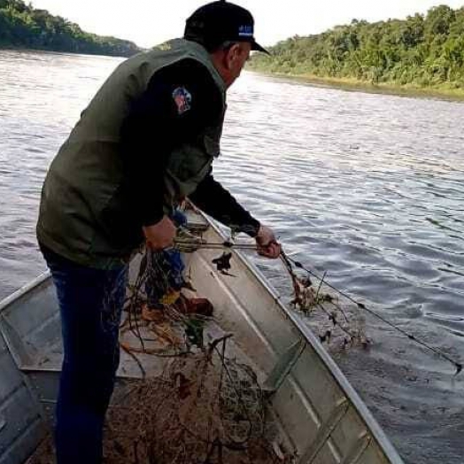 Pesca de espécies nativas está proibida até fevereiro no Paraná