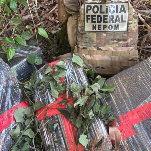 PF apreende quase 100 kg de maconha em Santa Helena