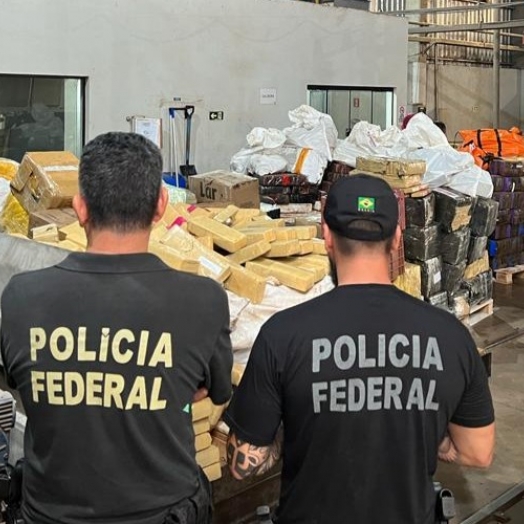PF destrói mais de 8 toneladas de drogas apreendidas em operações policiais neste ano