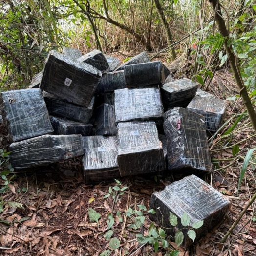 PF e PM apreedem quase 1 tonelada de maconha em Itaipulândia/PR