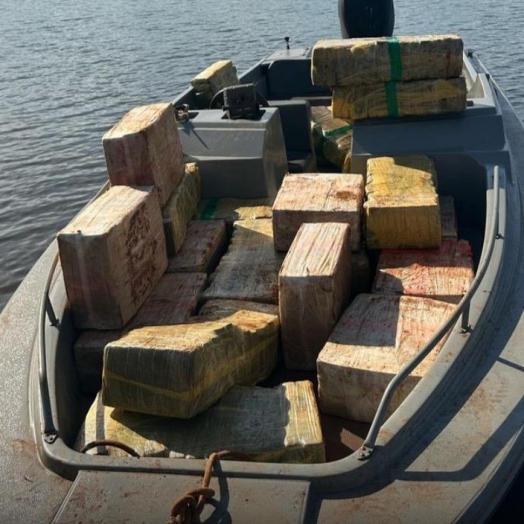 PF e PM apreendem 500 kg de droga na área rural de Santa Helena