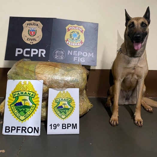 PF e Polícias Civil e Militar apreendem fardos de skank em Santa Helena