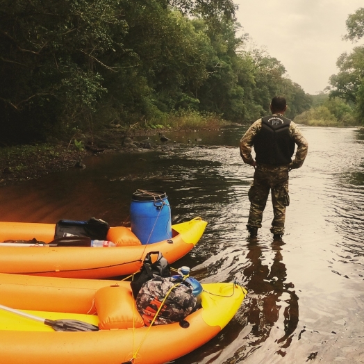 PF intensifica fiscalização ambiental no parque nacional do Iguaçu