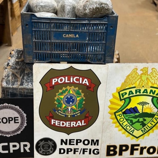 PF, PC e PM apreendem drogas em porto clandestino no Rio Paraná