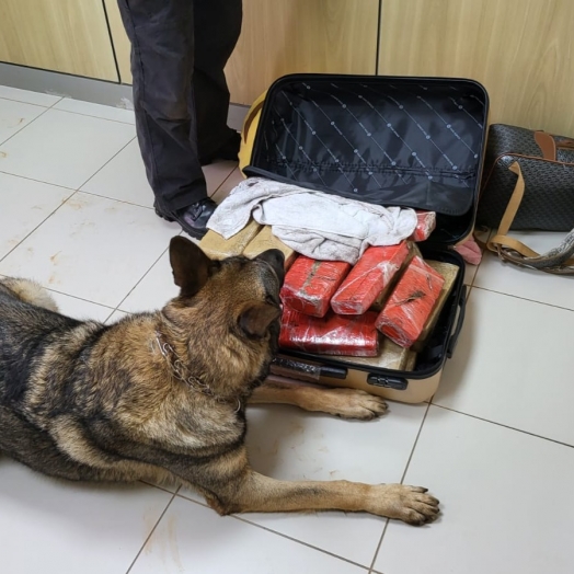 PF prende passageira com drogas na rodoviária de Foz do Iguaçu