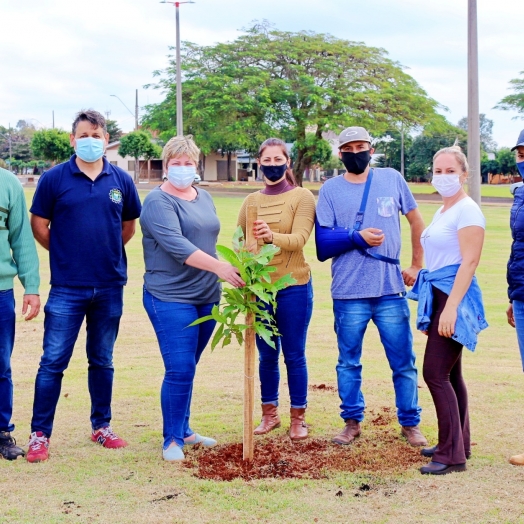Plantio de árvores na Praça Edi Berghahn em Itaipulândia deixa legado de sustentabilidade e cidadania