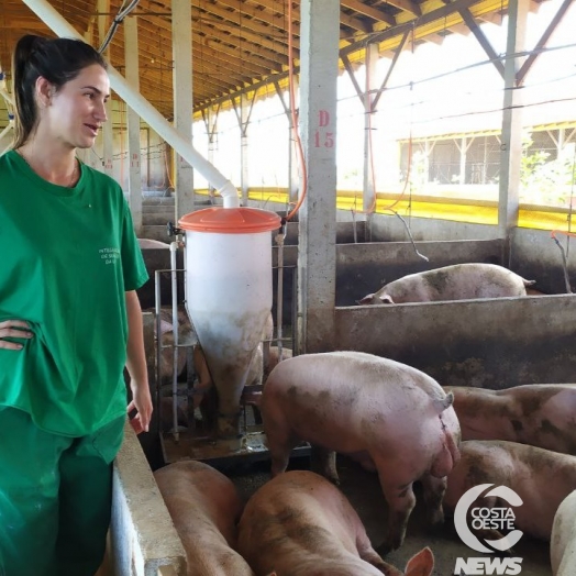 Pocilgas cada vez maiores e modernas seduzem novas gerações de suinocultores