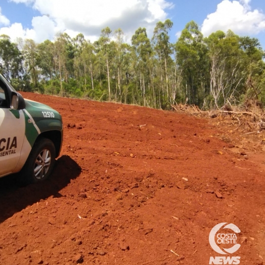 Polícia Ambiental realiza autuação por dano em vegetação nativa na região oeste