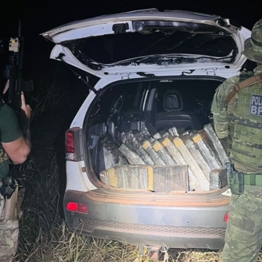 Polícia apreende 578 kg de maconha em área de mata