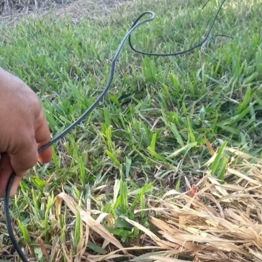 Polícia Civil prende em flagrante dupla por furto de energia elétrica