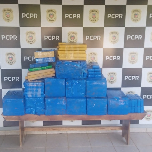 Polícia Civil prende mais de 250kg de maconha em Guaíra
