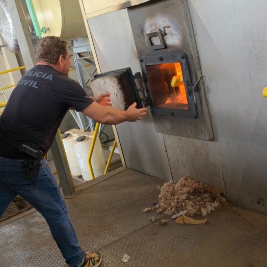 Polícia Civil realiza incineração de mais de 7 toneladas de drogas