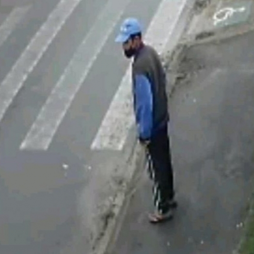 Polícia procura homem que abusou de cachorro de rua no Paraná