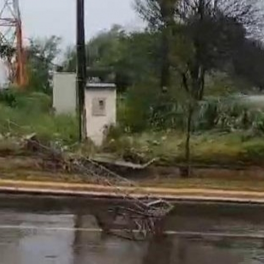 Polícia Rodoviária informa queda de árvores e torre nas PR 488 e 995 em Santa Helena