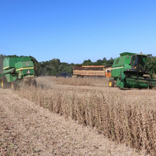 Prazo para solicitações do Viabiliza Agro termina 30 de setembro em Santa Helena