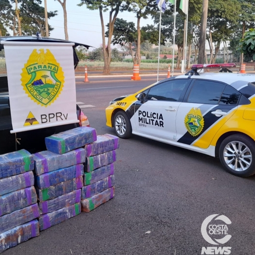 PRE apreende mais de 200 kg de maconha na PR 488, em Diamante do Oeste