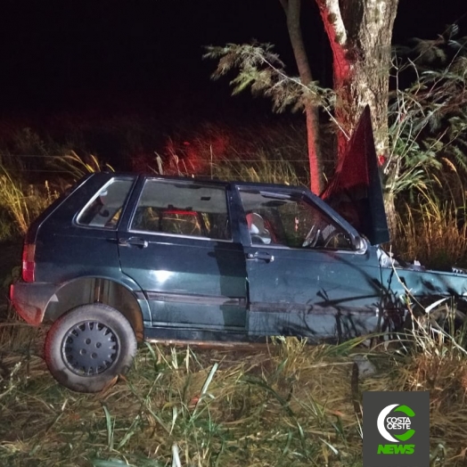 Condutor colide violentamente veículo em árvore na PR 488 em Diamante do Oeste