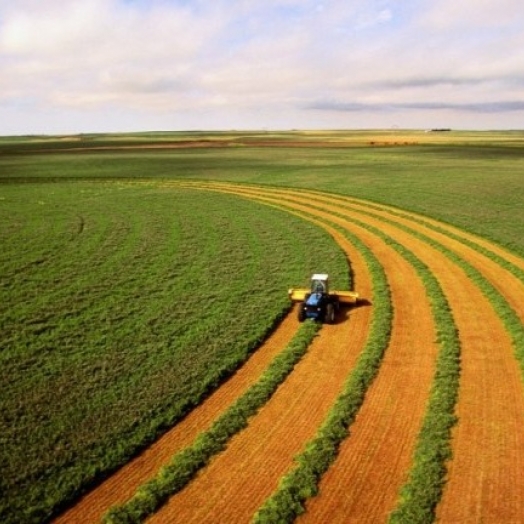 Preços dos alimentos: Confederação da Agricultura e Pecuária do Brasil destaca papel do agro para conter inflação
