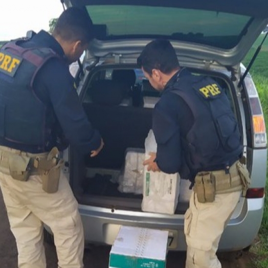 PRF apreende 300 quilos de agrotóxicos no Paraná
