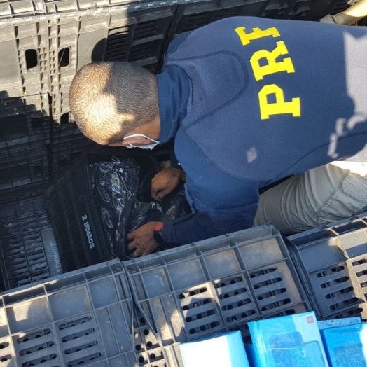 PRF apreende eletrônicos ocultos em caminhão de tomates em Céu Azul