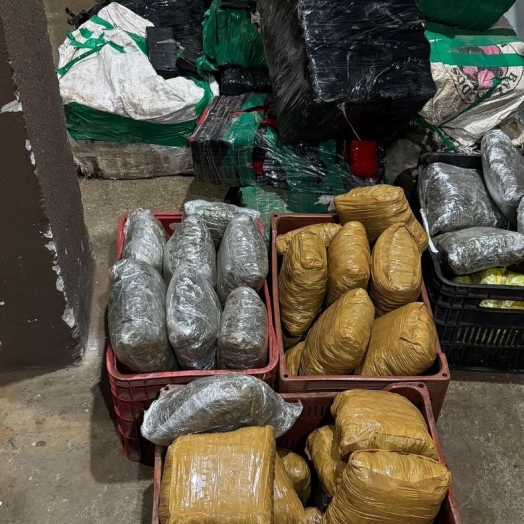 PRF apreende mais de meia tonelada de maconha e carro roubado em Santa Terezinha de Itaipu