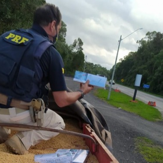 PRF apreende mais de R$ 2,6 milhões em cigarros contrabandeados no Paraná