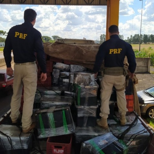 PRF faz a maior apreensão de maconha do Sul do Brasil, em Cascavel