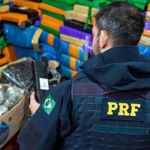 PRF no Paraná bate recorde histórico em apreensão de maconha