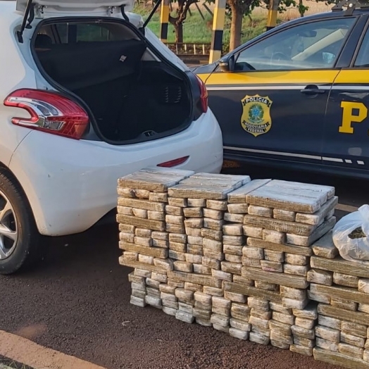 PRF prende duas mulheres traficando mais de 120 quilos de maconha na BR-277 em Céu Azul