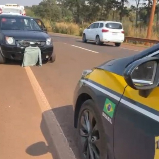 Vídeo: PRF prende homem com 150 kg de maconha que tentou cruzar canteiro central da BR-277