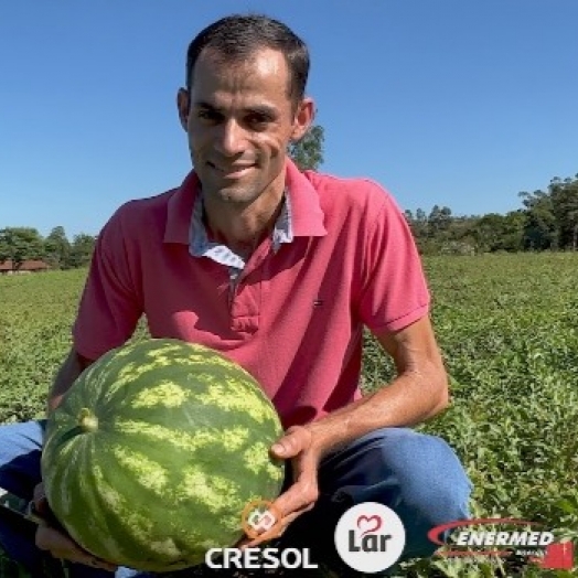 Produção de melancia complementa renda de pequeno agricultor