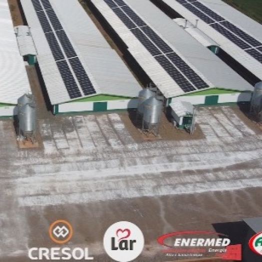 Produtor de frangos chega faturar até R$ 50 mil mensais com gerenciamento de energia solar