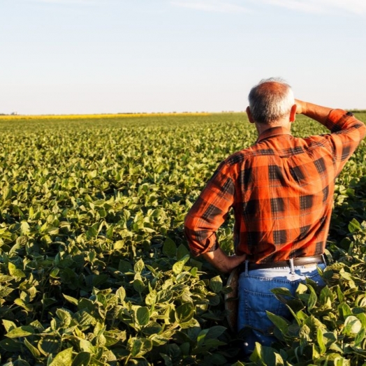 Produtor rural poderá regularizar cadastro ambiental pela internet