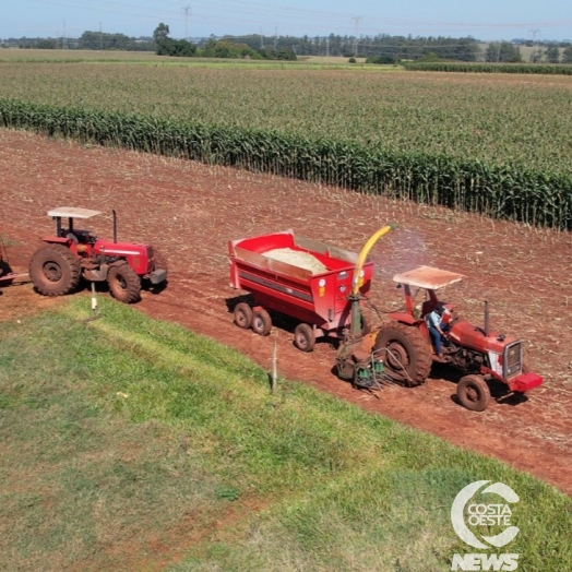 Produtores de leite tornam-se prestadores de serviço de corte de milho para silagem