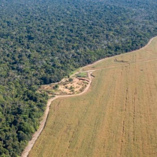 Produtores de Santa Helena e região não são obrigados a vender terras, alerta FAEP