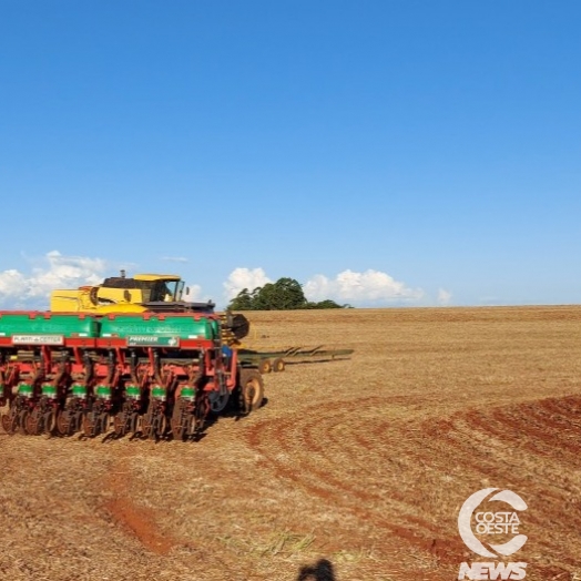 Produtores se dividem entre iniciar o plantio e esperar a chuva na microrregião oeste