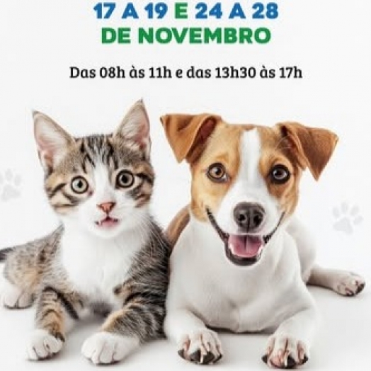 Programa CASTRAPET disponibiliza 104 vagas gratuitas em Itaipulândia