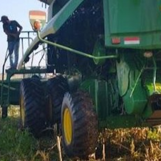 Programa de Aquisição de Alimentos (PAA) beneficia agricultores de Itaipulândia