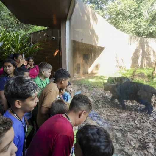 Projeto "Amigos do Eco e do Refúgio em Ação" promove educação ambiental e sustentabilidade em Foz do Iguaçu