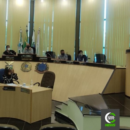 Projeto Família Acolhedora é apresentado para Vereadores de São Miguel do Iguaçu